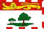 Prince Edward Island Outdoor Knitted Polyester - Various Sizes